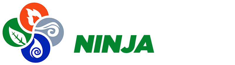 Elemental Ninja